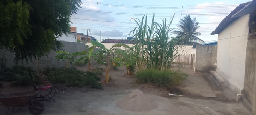 Alugo Terreno Para Instalação De Torre De Antena Telefonia 