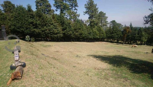 Se Vende Rancho En San Miguel Ajusco Tlalpan Cdmx