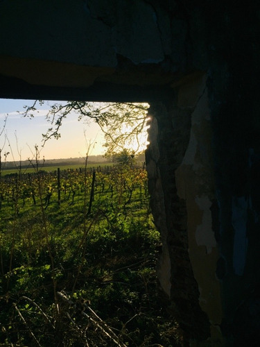 Dueño Vende 18 Hectáreas Campo En La Zona De Canelón Chico