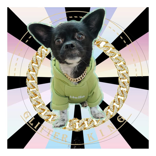 Collar De Perro Dorado Con Purpurina Y Circonita Para Cadena