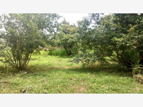 Imagen 9 de 12 de Terreno En Venta Ixtlahuacan