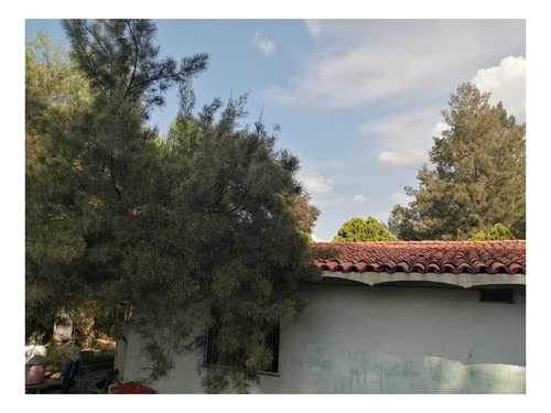 Imagen 29 de 30 de Terreno En Venta Cerca Del Aeropuerto
