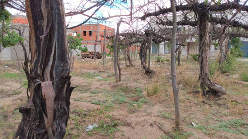 Imagen 6 de 11 de Lote En Venta O Permuta B° El Tránsito Cafayate