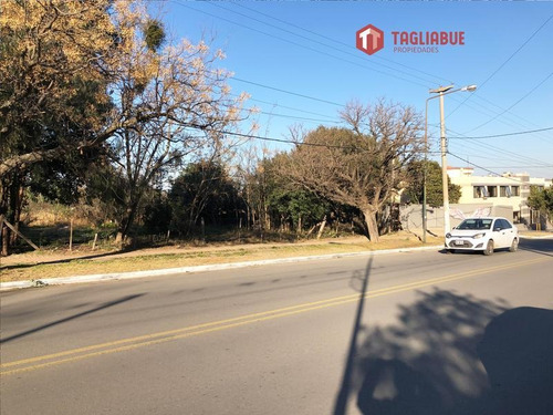 Imagen 6 de 9 de Terreno - Avenida Del Sol . Merlo - San Luis- Centrico