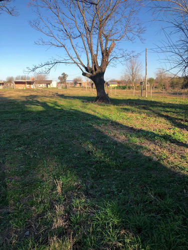 Imagen 6 de 14 de Lote Permuto Vendo Casa Con 8 Caballerizas Y Molino
