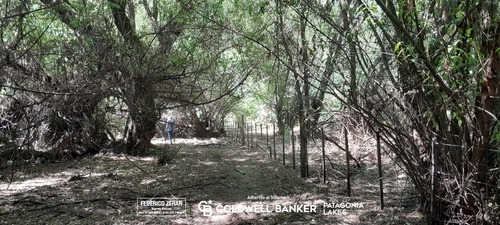 Campo 3.5ha En El Hoyo, Chubut