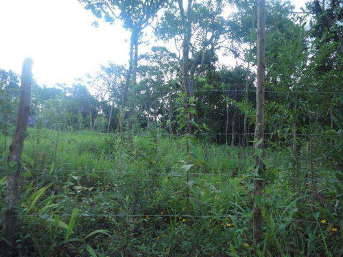 Imagem 1 de 4 de Loja, Potuverá, Itapecerica Da Serra - R$ 180.000,00, 0m² - Codigo: 505 - V505
