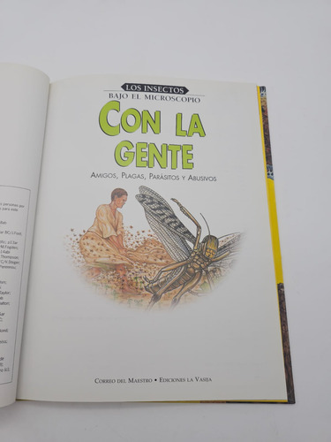 Los Insectos Bajo El Microscopio Con La Gente (Usado)