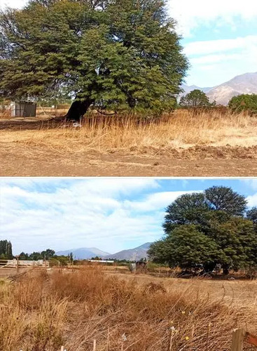 Inversión Segura En Entorno Natural (163863)