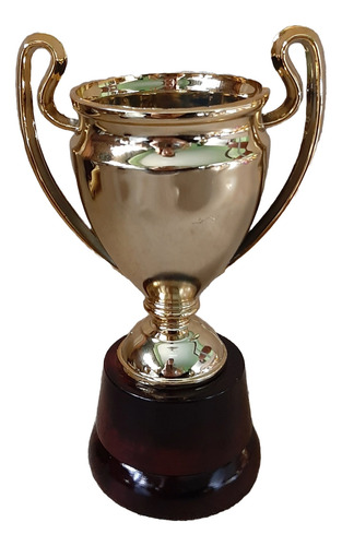 Copa Champions League Plástica Asas Dorada Base Madera 18 Cm
