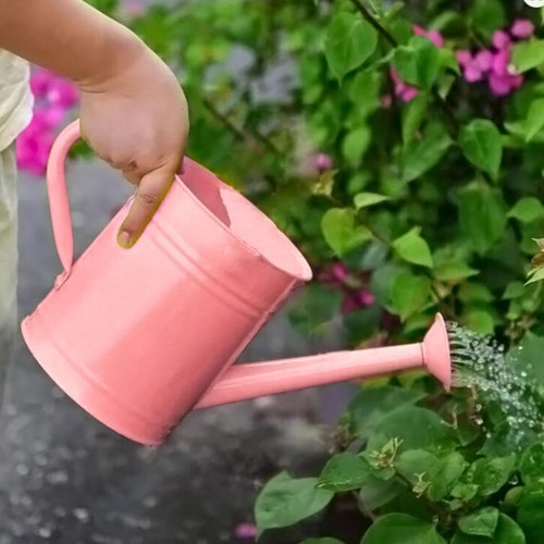 Regar A Lata De Kids Garden Katering Bucket Com Aspersores