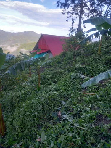 Finca En Vereda Torres En Guayabal De Siquima