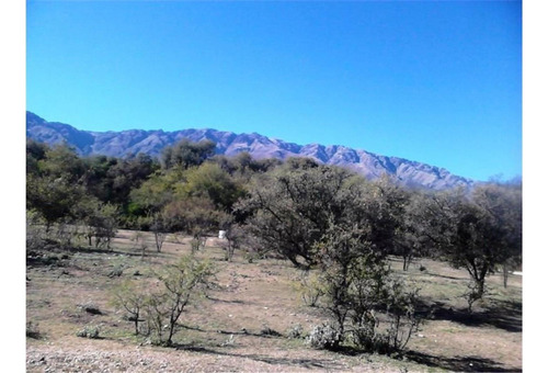 Imagen 5 de 18 de Hectarea En Bosque Serrano Magico...viva Una Aventura!