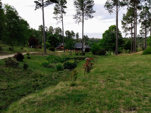 Imagen 4 de 10 de Potrero De Garay, Estancia La Ernestina:lote 2800m2 Belleza!!!