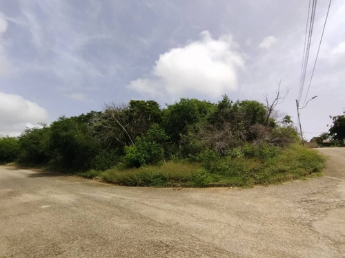 Imagen 6 de 9 de Terreno Ubicado En Sector Agua De Vaca - Urb. Victoria Nueva Esparta