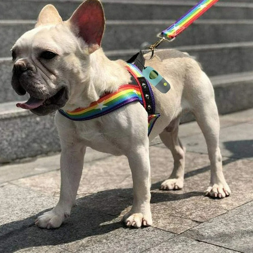 Linterna Led Con Dispensador De Bolsas Para Perros