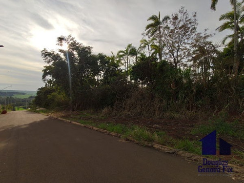 Imagem 5 de 10 de Rural Chacara - 368345-v