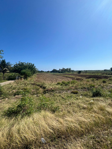 Vendo Terreno En Palenque, San Cristóbal