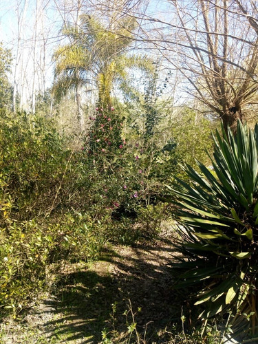 Imagen 18 de 21 de Venta Quinta - Las Cañas