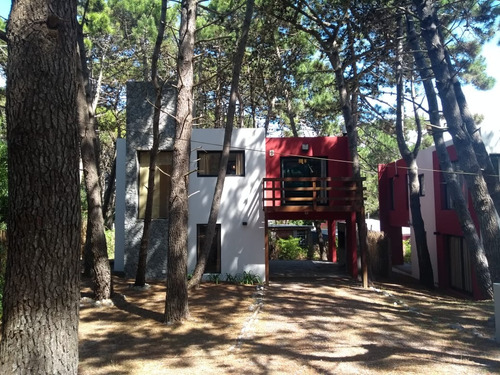Cabaña Bosque Azul (bosque)