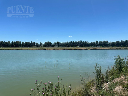 Lote Al Lago En Las Victorias - Canning (ezeiza)