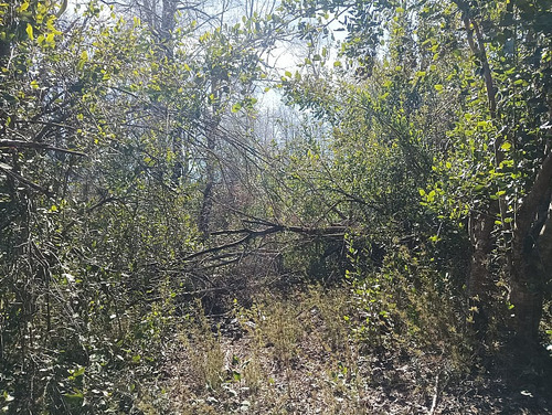 Hermosa Parcela Ubicada En La Comuna De Yungay 