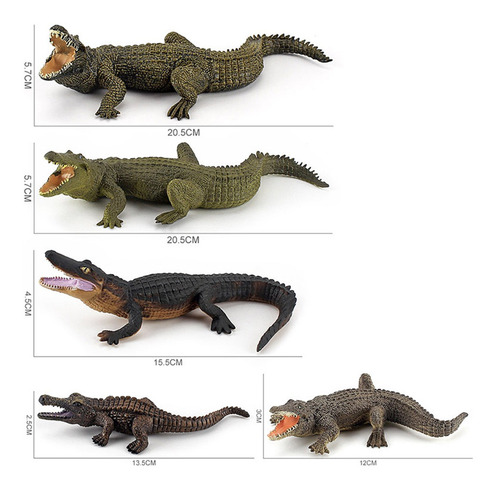 Modelo De Cocodrilo 5 Piezas