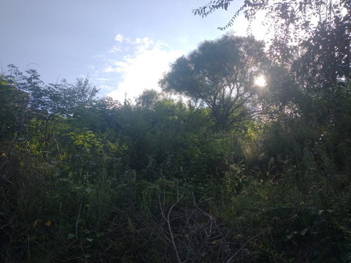 Imagen 8 de 10 de Lote Vista Al Lago - Se Financia El 50% Sin Interés