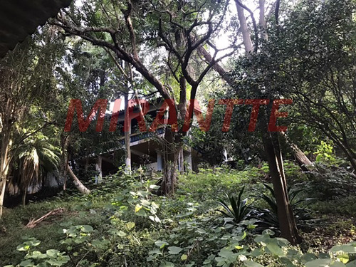 Imagem 17 de 17 de Terreno Em Tremembe - São Paulo, Sp - 357314
