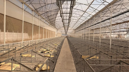 Centro Productivo Agroindustrial En Buin