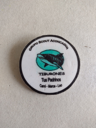 Pin Grupo Boy Scouts Aconcagua