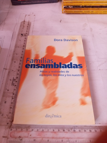 Familia Ensamblada Dora Davison Dinámica