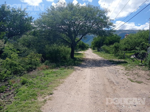 Terreno - Carpinteria