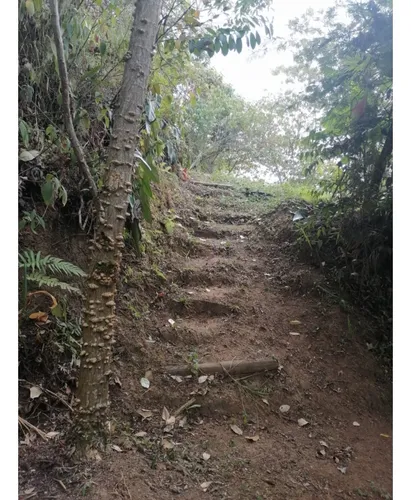 Venta Lote Campestre De 2.000 Mts2, Vereda Los Andes, Cali. 12955-1.