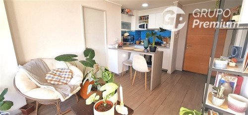 Departamento En Venta De 2 Dorm. En Concepción
