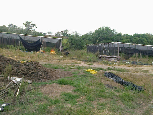 Imagem 21 de 28 de Chácara À Venda, 20000 M² Por R$ 530.000 - Ipiranga - Elias Fausto/sp - Ch0029