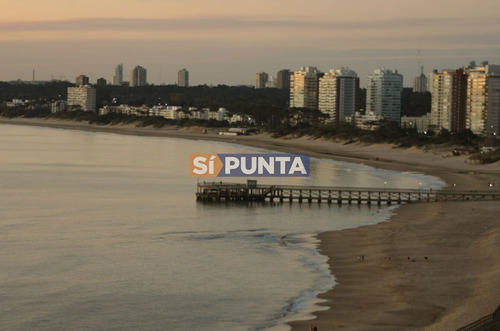 Imagen 2 de 24 de Apartamento En Playa Mansa 3 Dormitorios Alquiler