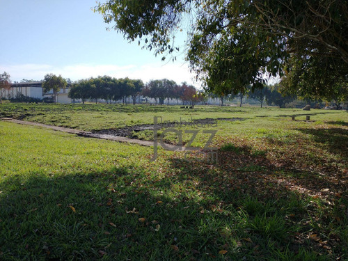 Imagem 23 de 26 de Terreno À Venda, 160000 M² Por R$ 56.000.000,00 - Chácaras Reunidas Igarapés - Jacareí/sp - Te1662