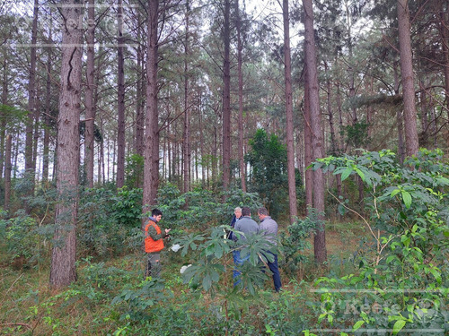 Campo En Venta De 561 Has En Virasoro, Corrientes