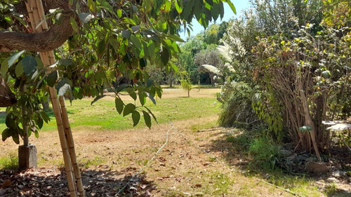 Las Araucarias Norte/av. Central, Lo Cañas La Florida