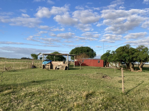 Imagen 10 de 21 de Chacra De 8 Hás Con Vivienda Próximo A Tala
