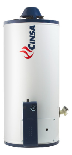 Calentador De Agua Depósito Cinsa 1 Servicio, 38l Gas Nat
