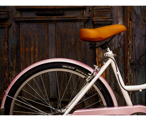 Bicicleta Vintage Urbana 1vel C/ Accesorios Tu Nombre