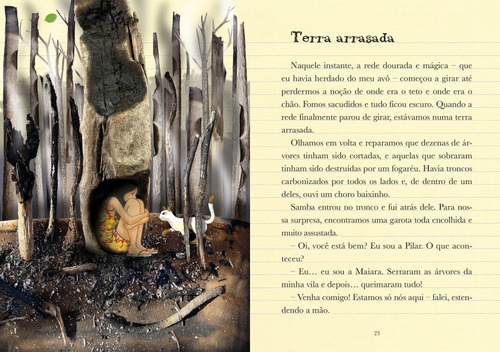 Diário De Pilar Amazônia, De Flávia Lins E Silva. Editora Pequena Zahar, Capa Mole Em Português