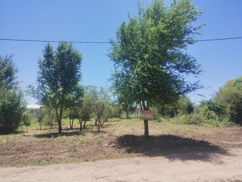 Hermoso Lote Con Vista Mirador Del Lago