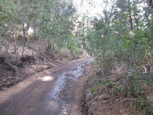 Terreno Lote En Venta Ubicado En Península San Pedro, Bariloche