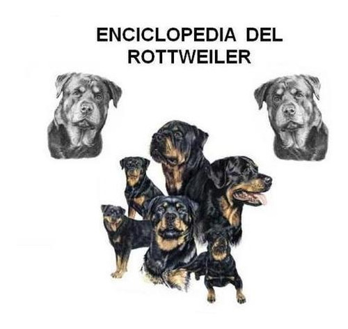 Enciclopedia Del Rottweiler, Adiestramiento Canino, Cachorro