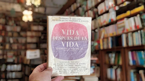 Vida Después De La Vida. Raymond A Moody. (Usado)