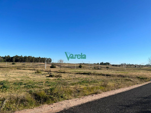 Imagen 3 de 12 de Terrenos En Pando, Venta Segunda Etapa, Financiados A Pura Cuota, Varela Inmobiliaria