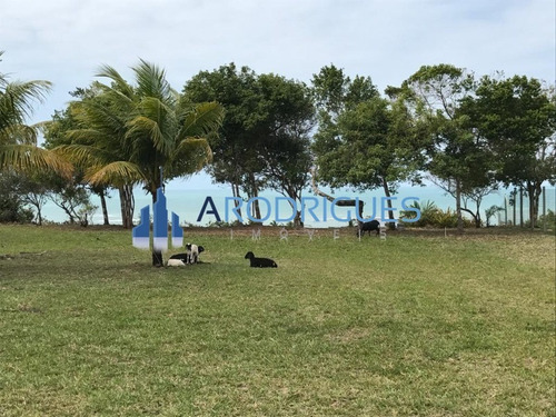 Imagem 12 de 20 de Ótimo Terreno À Venda Localizado Em Trancoso Todo Documentado E Levantamento Topográfico! - Te00126